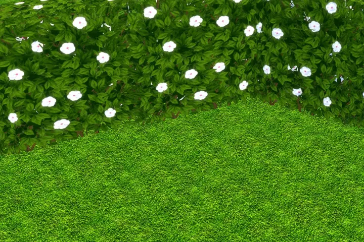Hedge Fence with Flowers