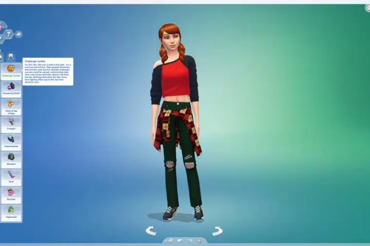 Challenge-Junkie (Personality Trait & Aspiration)