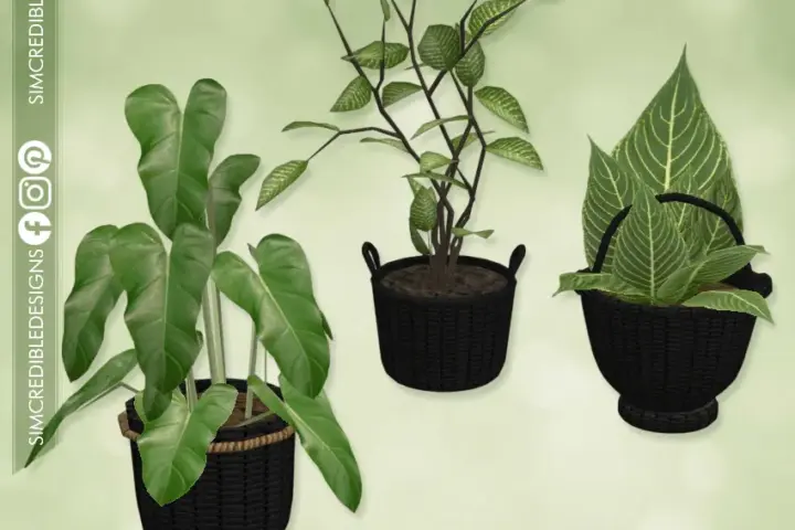Naturalis Potted Plants - Black RECOLORS 🌿