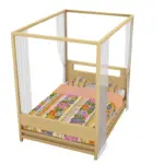 Color Story Canopy Bed