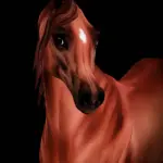 Erantis
