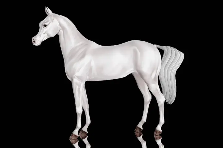 "Pure Polish" Arabian Template