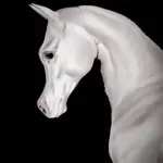 "Pure Polish" Arabian Template