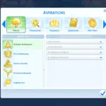 💫 Aspirations Overhaul