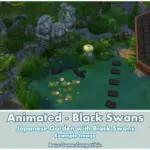 Animated - Black Swans ~ Bird ~ Animal ~ Pet ~ Swan
