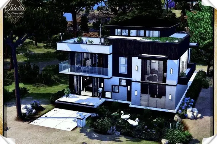 Liora | NoCC