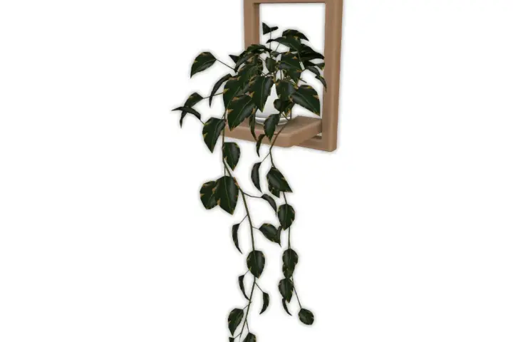 Comiko - Living Modern Farm Wall Plant