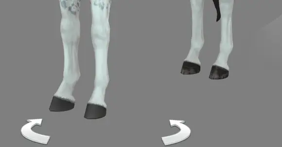 Horse Hoove Colors