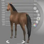 Horse Primitive Back Line Marking