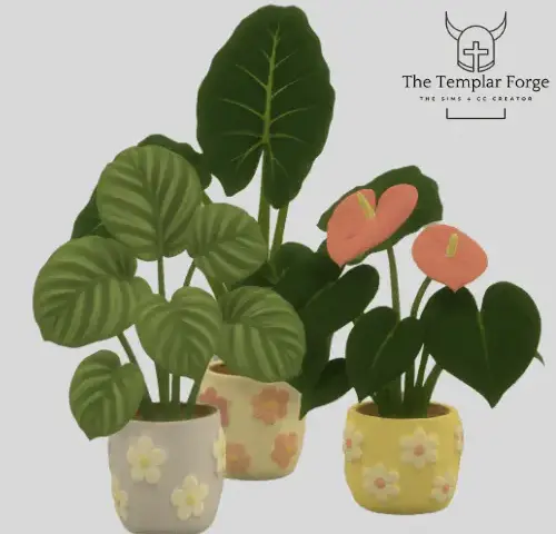 Petals Pots