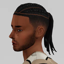 Amir Hair