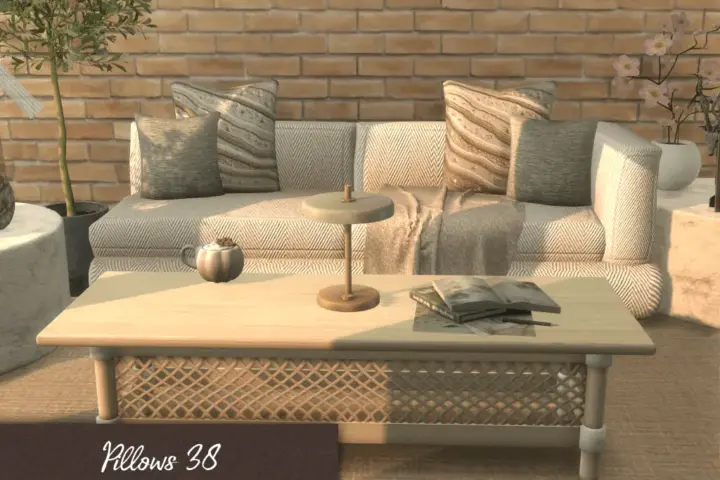 Pillows #38