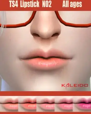 Kaleido_Lip_N02