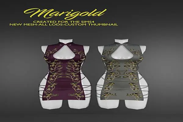 MARIGOLD TS4_KIMBERLY