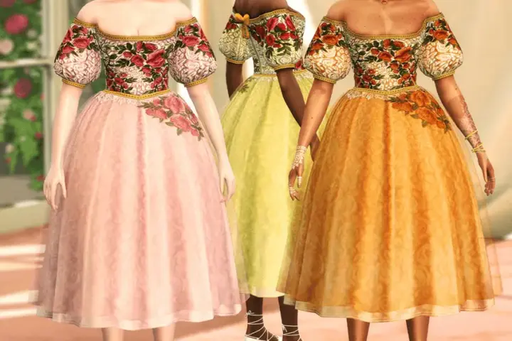 Seraphina Embroidery Dress & Gown Set
