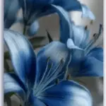 Flower Horizon Canvas Set