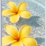 Flower Horizon Canvas Set