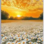 Flower Horizon Canvas Set