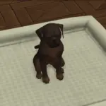 Small Square Pet Beds (For Small Dogs/Cats)