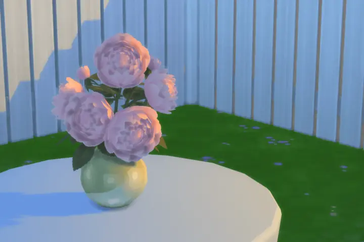 Sweet Soeur Emmanuelle Blooms
