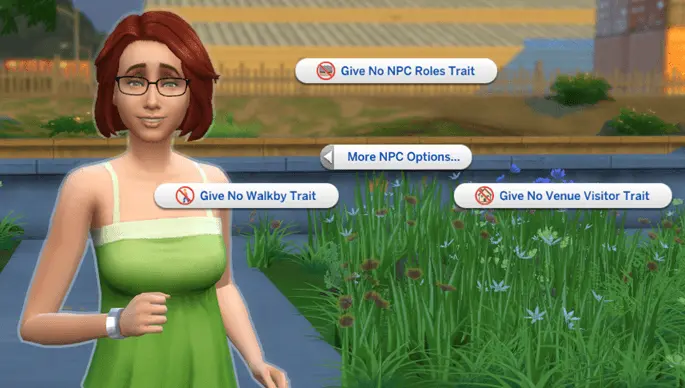 More NPC Options