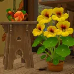 Cultivated Haven Part II