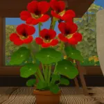 Cultivated Haven Part II