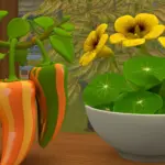 Cultivated Haven Part II