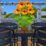 Cultivated Haven Part II