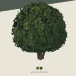 cierra planters
