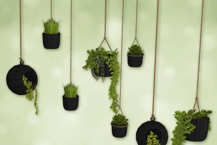 Naturalis Hanging Plants Recolor Black 🌿