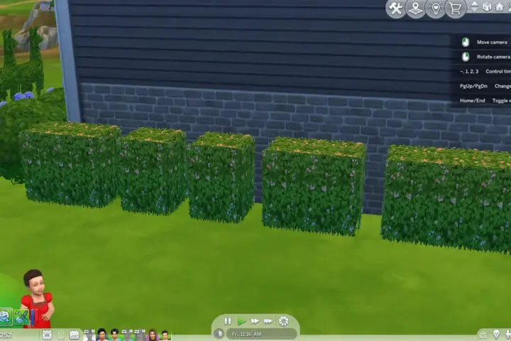 Blooming Garden Hedge