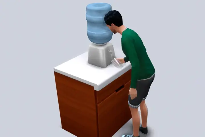 Functional Water Dispenser