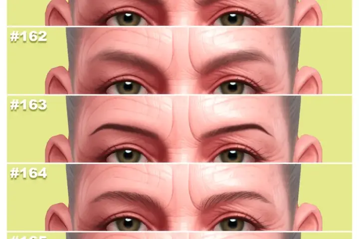ELDER EYEBROWS COLLECTION