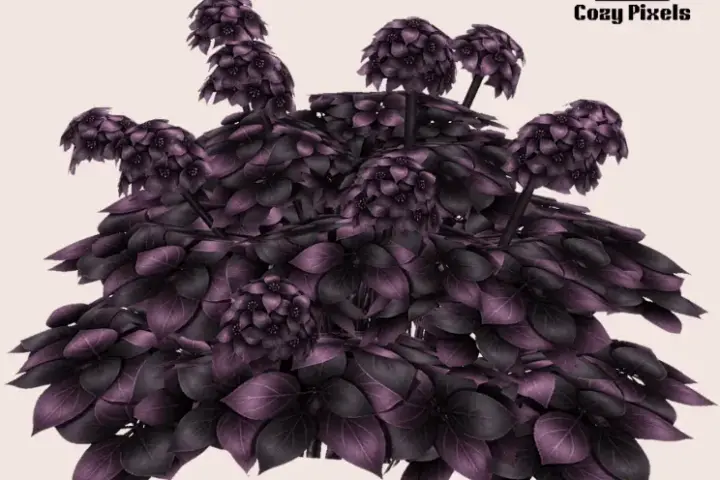 Dark Garden Flowers