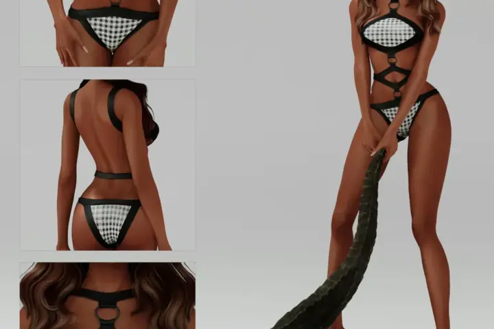 Beyoncé’s Roberto Cavalli “B’Day” Bodysuit