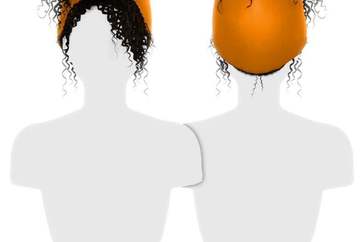Simpliciaty's Janae Hair