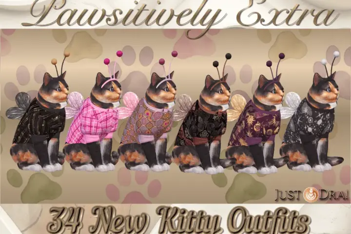 Pawsitively Extra - Kitty Costume