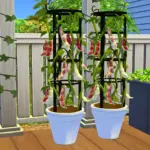 Cultivated Haven Part III