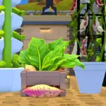 Cultivated Haven Part III