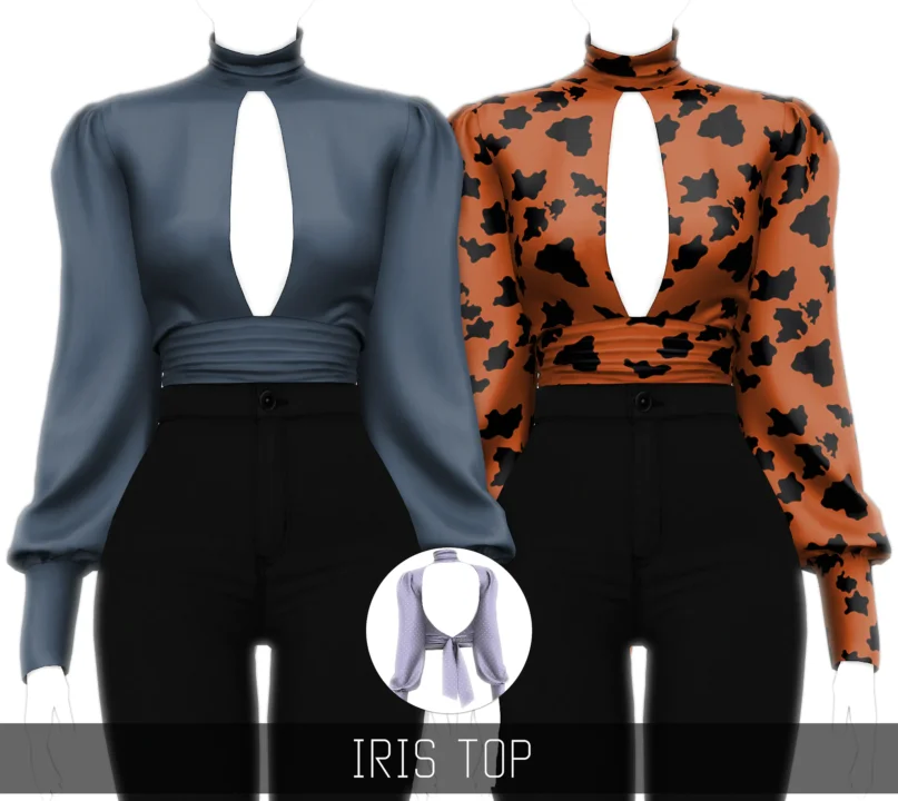 Simpliciaty's Iris Top