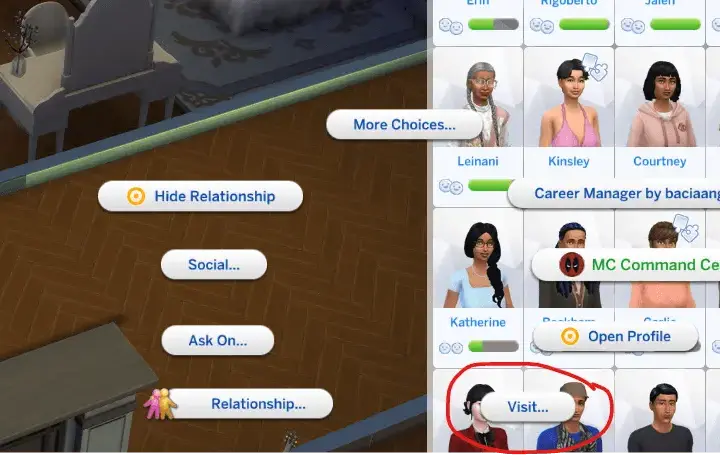 Visit Any Sim