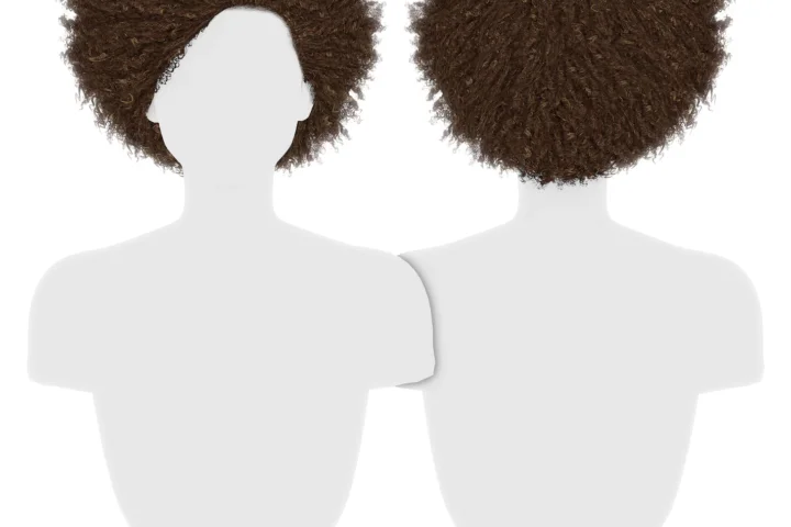 Simpliciaty's Simara Hair