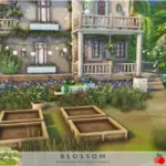 Countryside Charm - Blossom