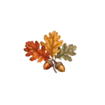 The October Reading Nook – Autumn Build Buy Collection