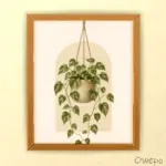 Nature & Mind Framed Prints