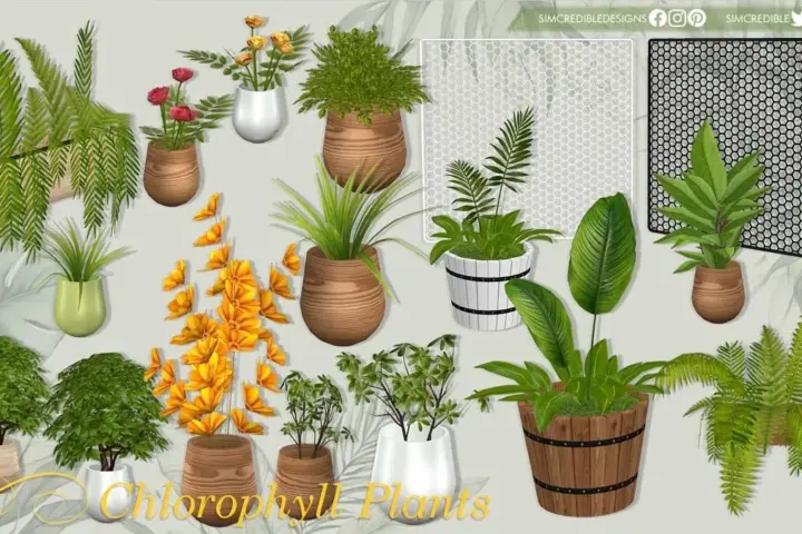 Chlorophyll Plants FULL SET