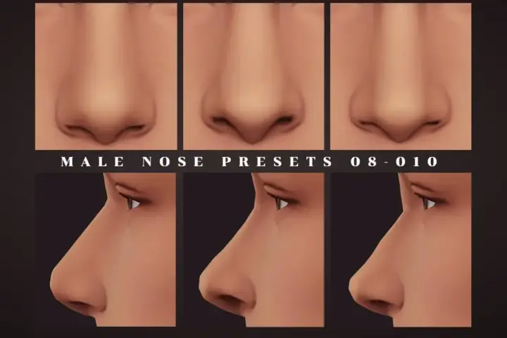 Male Nose Presets 08-010