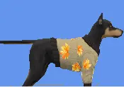 Enchanted Autumn Small Dog Sweater
