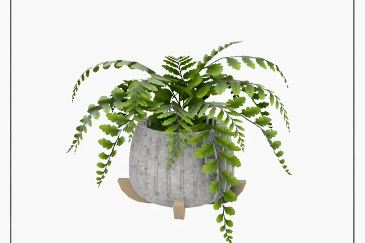 'At Hand' Feathered Fern Planter